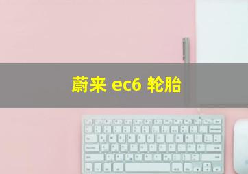 蔚来 ec6 轮胎